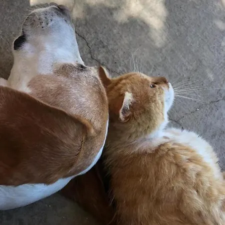 Gabi & Lozovac