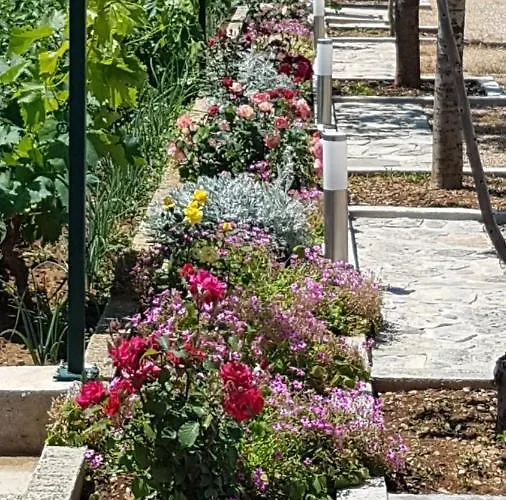 Gabi & Πανσιόν