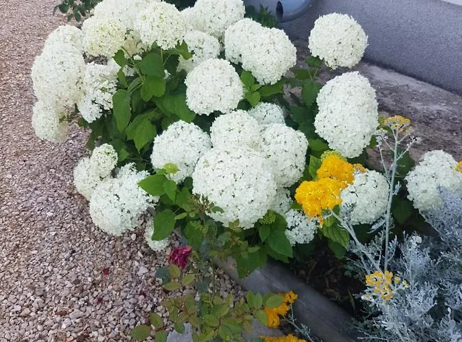 Konukevi Gabi & Lozovac