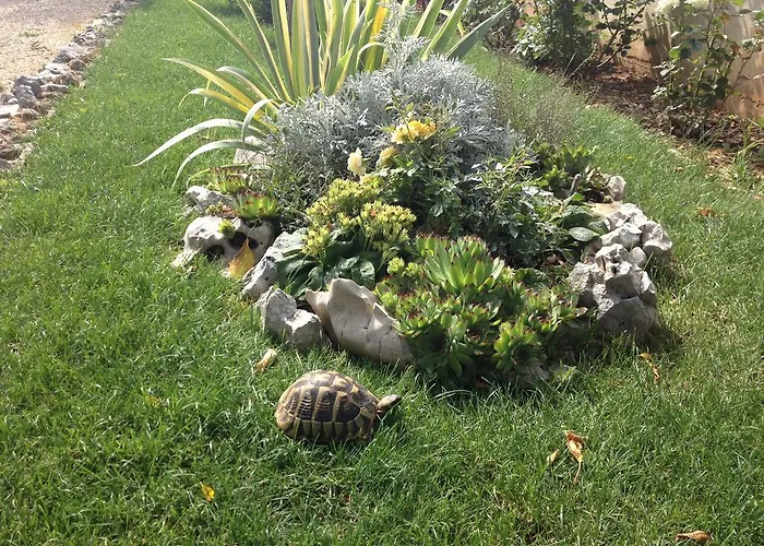 Gabi & Konukevi Lozovac